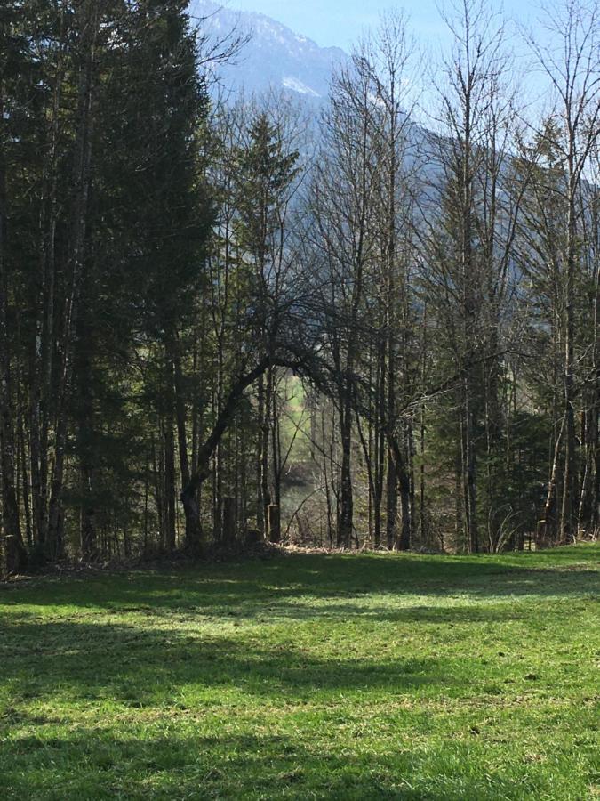 Wengerwirt Zur Laube Bed & Breakfast Weng im Gesause Luaran gambar