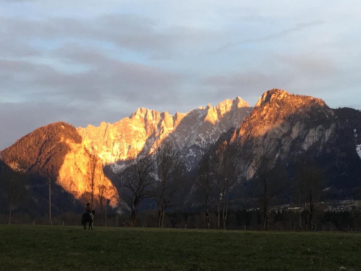 Wengerwirt Zur Laube Bed & Breakfast Weng im Gesause Luaran gambar