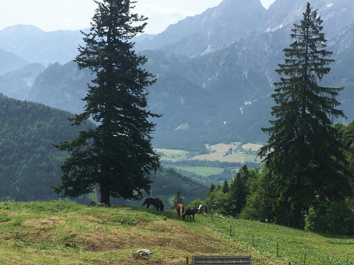 Wengerwirt Zur Laube Bed & Breakfast Weng im Gesause Luaran gambar